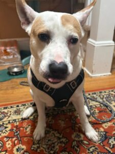 Nyla photo 4