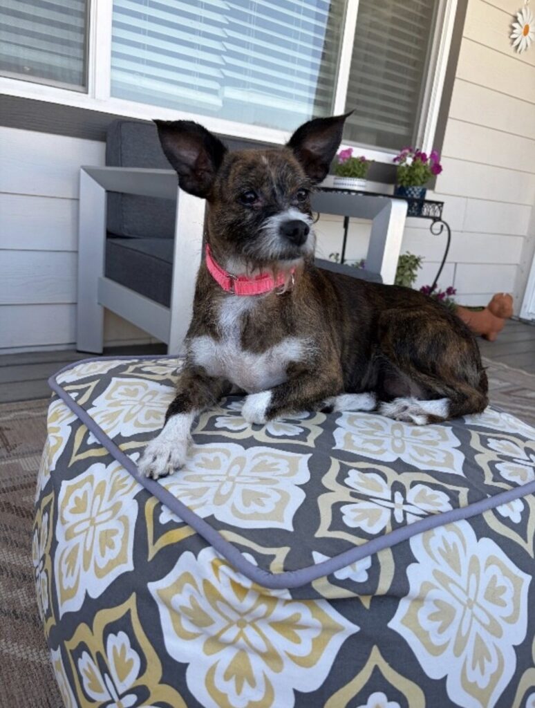 Olivia photo 4