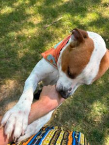 Zeus photo 3